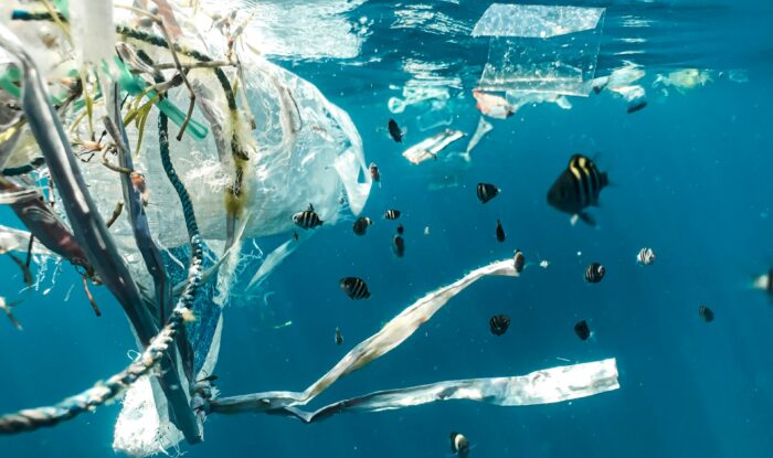 Plastik im Meer ist eine zentrale Quelle für Mikroplastik